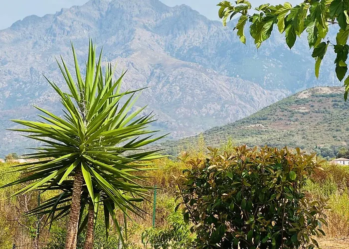 Pietralba - Piscine Privee & Vue Montagne - Proche Calvi *